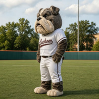 Costume de mascotte de bouledogue de dessin animé personnalisé Leehom en mousse EVA et peluche douce, avec détection par aiguille, pour adultes unisexe, activités sportives et de jeu