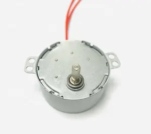 Motore Sincrono AC 24V TH-50-591/AC/24V/0.8-1RPM/CW/4W/F, Doppio Cavo Rosso ad Alta Temperatura 24MM - Product Image 1