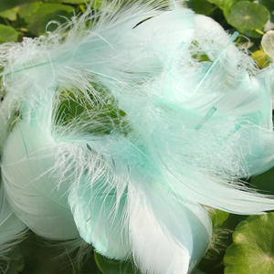 Venta al por Mayor de 100 Piezas de Plumas de Ganso Teñidas Naturalmente de 6 a 12 cm, Suaves para <span class=keywords><strong>Manualidades</strong></span>, Sombreros, <span class=keywords><strong>Atrapasueños</strong></span>, Vestidos, Decoraciones de Carnaval, a Granel y Baratas - Product Image 4