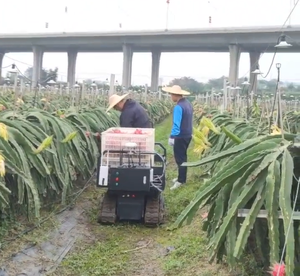 Robot Inteligente para la Recolección y Manipulación de Frutas en Huertos, Chasis Móvil Tipo Oruga, Súper Capacidad Todoterreno, Protección IP54, Restaurantes - Product Image 3