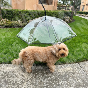 Paraguas transparente para perros tipo C de 45 cm, impermeable, protección contra la lluvia, accesorio para pasear perros - Product Image 1