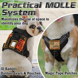 Durable Solid Nylon Personalized <b>Dog</b> Harness with LED <b>Light</b> & GPS Tracker Holder for Night Safety - Product Image 5