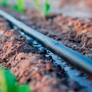 16mm <strong>Drip</strong> <strong>Irrigation</strong> Pipe, Water-saving High-efficiency Built-in <strong>Drip</strong> Tape, <strong>Drip</strong> <strong>Irrigation</strong> Pipeline - Product Image 6