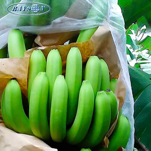 100% Polypropylene Fabric 100% Polypropylene Banana Bunch Cover Bag Spunbond Non Woven Fabric Premade Perforated Full Protective Bag For Banana