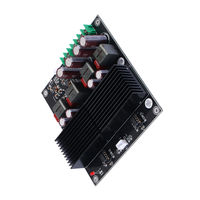 Kit DIY de module amplificateur de puissance stéréo professionnel de scène TPA3255 HiFi Classe D 600W + 600W haute puissance pour audiophiles