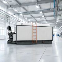 Caldera de Calefacción de Agua Caliente a Biomasa, Carbón, Astillas de Madera y Pellets DZL de 0.7MW, 1.4MW, 2.8MW, 4.2MW, 5.6MW, 7MW, 10.5MW, 14MW, 28MW en Venta
