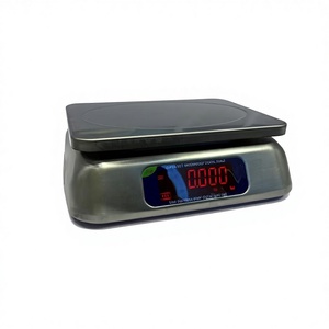 Super-SS 9 304 Stainless Steel Digital Bench Scale3kg 6kg 15kg 30kg IP68-Rated Waterproof OEM Electronic Weighing Equipment - Product Image 3