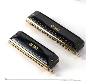 Instrument de musique professionnel direct d'usine adulte débutant embout rond à <span class=keywords><strong>12</strong></span> <span class=keywords><strong>trous</strong></span> <span class=keywords><strong>Harmonica</strong></span> <span class=keywords><strong>chromatique</strong></span> - Product Image 1