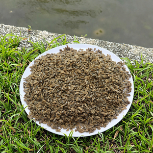Petites moucherons 0,2-0,5 cm séchés au soleil, 100% protéines naturelles, nourriture pour poissons, tortues et reptiles, pour la santé de la peau et du pelage, noir, durée de conservation 3 ans - Product Image 6