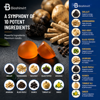 Fabricant OEM ODM, vente en gros directe d'usine, livraison rapide, gommes de Shilajit pur de l'Himalaya 4000mg avec Ashwagandha