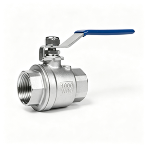 Robinet à levier en acier inoxydable SS316, 1 pièce, filetage femelle NPT BSP, pour coupure de conduite d'eau, pleine ouverture, résistant à la corrosion - Product Image 1