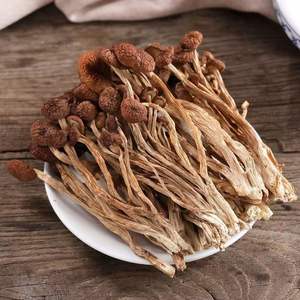 Aliment naturel et sain de haute qualité, Agrocybe <span class=keywords><strong>Aegerita</strong></span> de ferme - Product Image 3