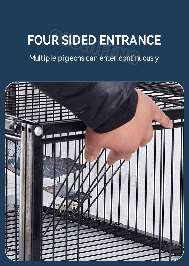 two side pigeon cage