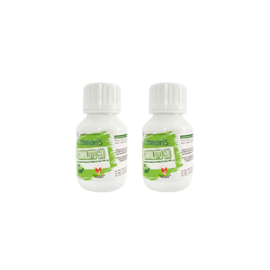 Sambiloto Losman con extracto herbal de Andrographis Panicula es perfecto para apoyar la inmunidad del cuerpo todos los días. - Product Image 3