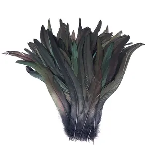 인위적으로 선택한 블랙 염색 35-40CM 수탉 꼬리 깃털 카니발 머리 장식 장식 대량 판매