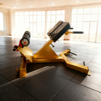 Chaise réglable d'hyperextension d'équipement de forme physique de banc d'extension de dos de 45 degrés de nouvelle conception commerciale pour la musculation
