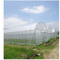 Cerceau de culture de légumes maison serre agricole à travée unique tunnel pour Offre Spéciale