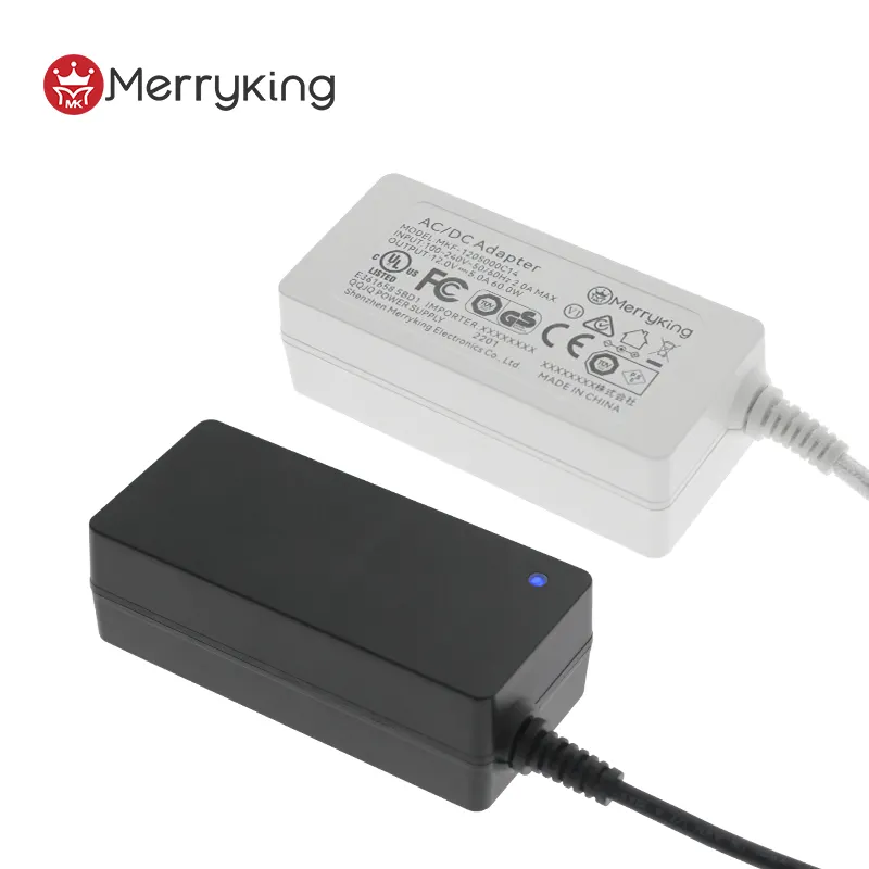 Bán buôn 180W 32V 12V 15A 120W Power Adapter 40W 60W 65W 3 pin cắm 100 240V 50 60Hz 42V 34V AC DC Adapter 24V cung cấp điện