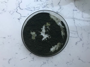 Insen ให้ผงคลอเรลล่าขิงคุณภาพสูง - Product Image 3