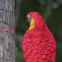 Sculpture d'oiseaux en résine réaliste, imitant des sons, décorations de jardin imperméables, ornements pour l'extérieur, artisanat à suspendre.