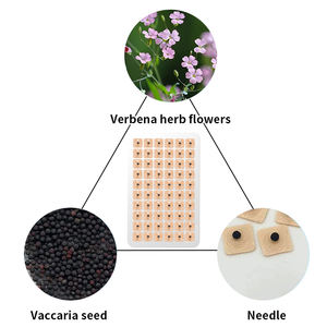 신상품 개인 라벨 침술 귀 씨앗 귀 스티커 귀 침술 패치 - Product Image 5