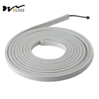 Guirlandes lumineuses LED en silicone flexible 20*10mm, télécommande, 96 LED/m, 24V, IP65, étanches, éclairage ambiant extérieur pour publicité