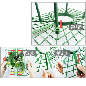 Supports de culture de fraises OEM DD3185 – Treillis de maintien pour garder les baies propres – Supports carrés pour plantes - Product Image 5