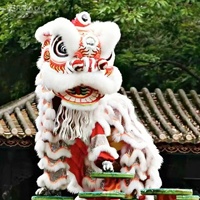 Tête de costume de danse du lion chinois personnalisée pour adulte, pour performance scénique, célébration de festival traditionnel, mascotte, avec cymbales de gong