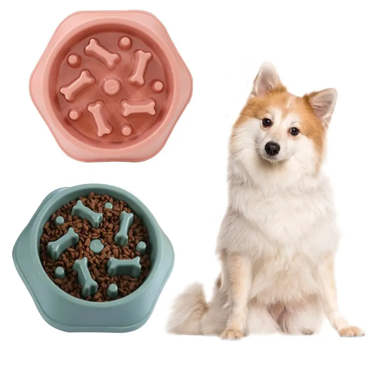 Distributeur automatique de nourriture pour chien, bol à alimentation lente pour animaux de compagnie, petit bol à alimentation lente pour chien