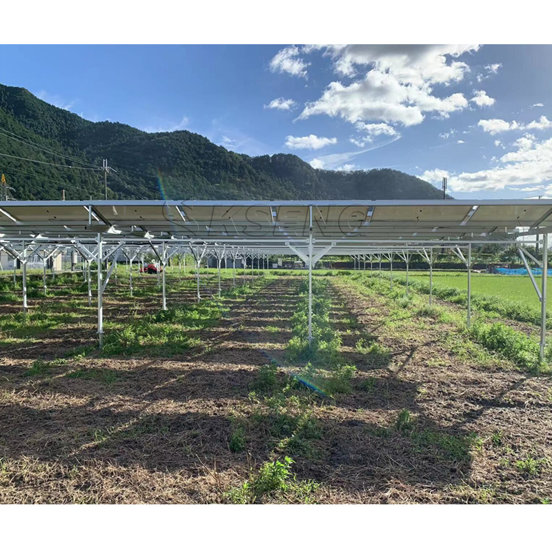 1MW PV Farm Solar Energy System Agriculture Solar Farm Ground Mounting System Solar Farm Structure System · image 5