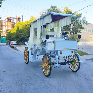 Customized Luxury Electric Sightseeing Multi Seats Optional Stable Driving Horseless Wagon for Sightseeing Tourism Business - Product Image 2