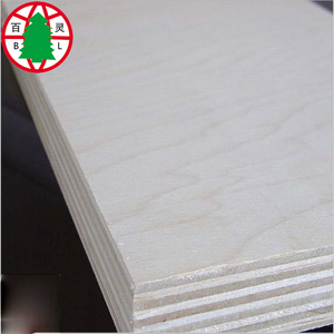 Best Price Commercial Plywood <strong>Baltic</strong> <strong>Birch</strong> Plywood Wholesale - Product Image 4