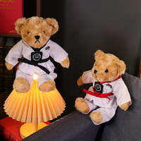 Ours en peluche de karaté de 25 cm, ours en peluche adorable, cadeaux pour les enfants de taekwondo, cadeaux de ceinture noire pour les filles et les garçons