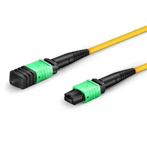 MPO/APC-MPO/APC Single Mode 9/125 Fiber Patch Cord 12 Core LSZH 1meter Patch Cord