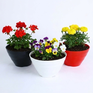 Verified Manufacturer High Quality PP Plastic Wavy <b>Planter</b> <b>Boxes</b> Modern Wavy Flower Pots for Indoor Outdoor Gardening - Product Image 1