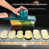 Éplucheur de citron multifonctionnel réglable automatique, râpe à fruits et légumes commerciale, série 400, lames en acier inoxydable