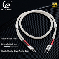 Conducteur YIVO plaqué argent OCC pour un timbre délicat et propre avec des aigus et des basses prononcés, performance sonore HIFI pure OEM ODM