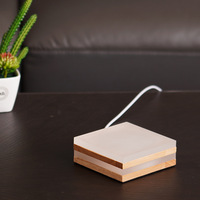 Veilleuse LED design Europe du Nord, base lumineuse pour vase ou aquarium, USB DC36V 3W, avec télécommande et bouton, à brancher