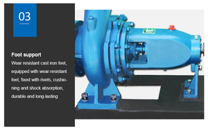 Pompe à eau centrifuge horizontale résistante à l'usure pour l'approvisionnement en eau urbaine, l'eau propre et l'irrigation - Product Image 6