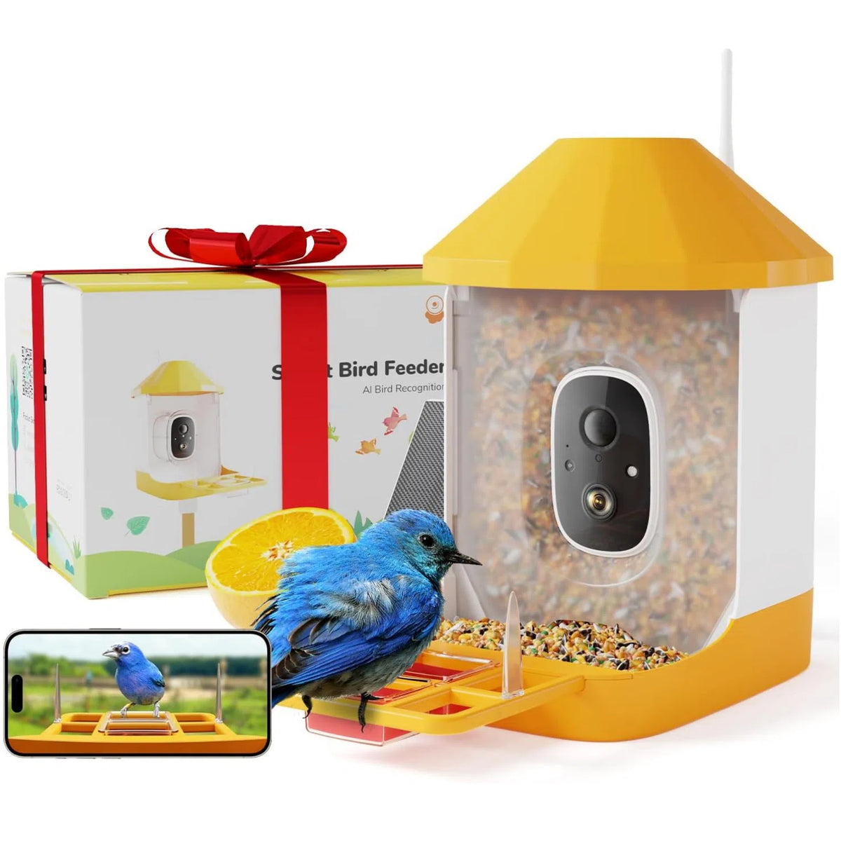 bird feeder wireless camera