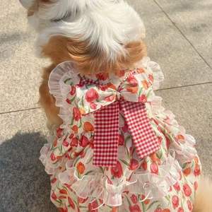 Vestido de Verano Estilo Princesa con Tulipanes para Perros Grandes (Corgis, Samoyeds, <span class=keywords><strong>Border</strong></span> Collies, Golden Retrievers y Más) - Product Image 1