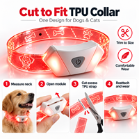 Bracelet lumineux LED rechargeable pour enfants, 7 couleurs clignotantes, jouet fantaisie pour fête, également disponible pour animaux de compagnie (chiens et chats)