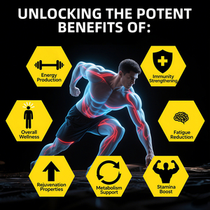 Supplément à base de plantes OEM, extrait naturel pur d'Ashwaganda Shilajit, gommes de soutien immunitaire, gommes de Shilajit pour la santé digestive - Product Image 4