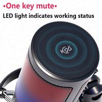 Microphone de jeu portable USB pour PC avec fonction de sourdine à une touche, éclairage RGB, suspension antichoc et support pour enregistrement de jeux sur ordinateur
