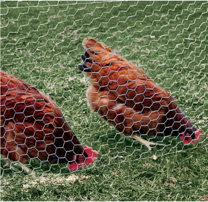 Recinzione Modulare Resistente e Anti-Lupo Fai-da-Te, Set per Pollaio Esterno in Metallo Grande con Barriera Accessibile - Product Image 6