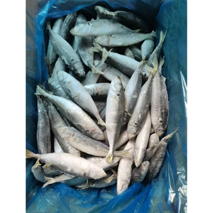 Pescado al por Mayor IQF, Bacalao Redondo para Dar Es Salaam - Product Image 1