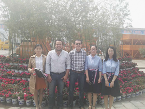 Tùy chỉnh di động sẵn sàng trộn trạm trộn bê tông di động trạm trộn từ Trung Quốc nhà sản xuất - Product Image 6