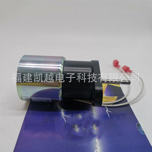 Vanne solénoïde d'extinction du moteur Buick Excelle 0250-12A2UC11S3 avec fils 12V 24V - Product Image 1