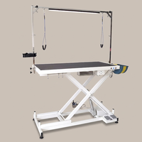 Table de toilettage pour animaux de compagnie électrique rose professionnelle avec prises de courant, table de toilettage pour chiens robuste