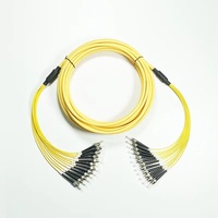 12 Core Single Mode Fiber Optic Cable Assembly, Outdoor LSZH Sheath, Custom Telecom Grade Jumper